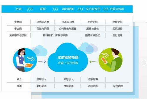 森渥項目型企業管理咨詢 以智能系統為引擎，一鍵破解財務管理核心難題